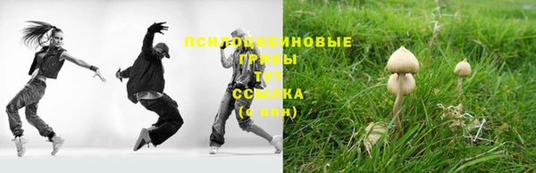 прущий лед Армянск