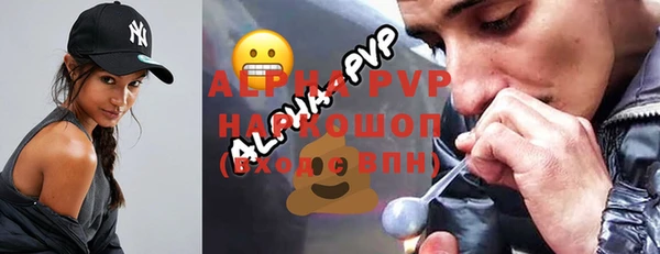 ПСИЛОЦИБИНОВЫЕ ГРИБЫ Осинники