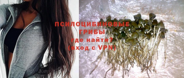 каннабис Арсеньев