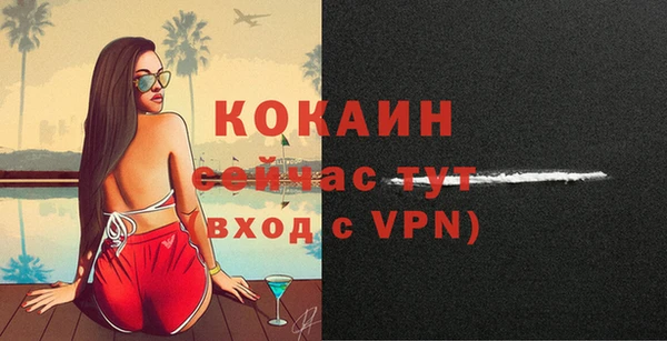 гидра Аркадак