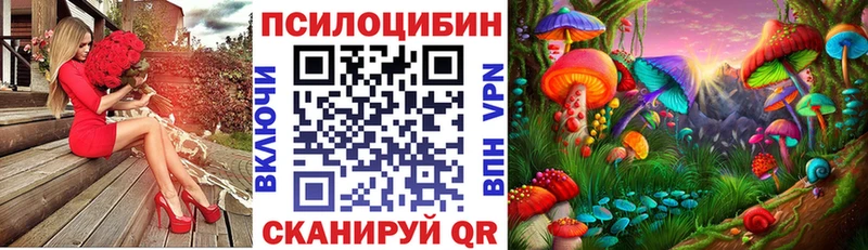 Псилоцибиновые грибы GOLDEN TEACHER  Приморск 